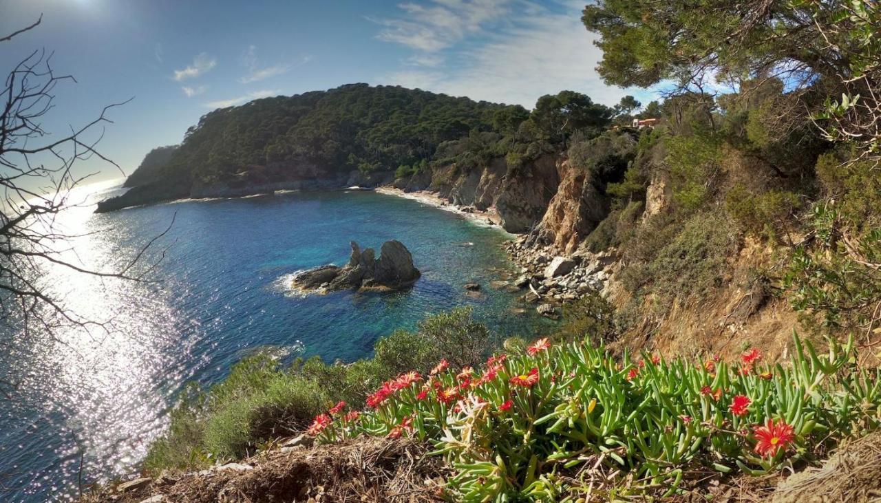 Studio Proche Port Et Plages, Piscine Hyères Extérieur photo